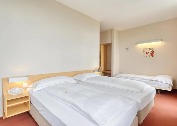 Le Funi De 3* Cossonay