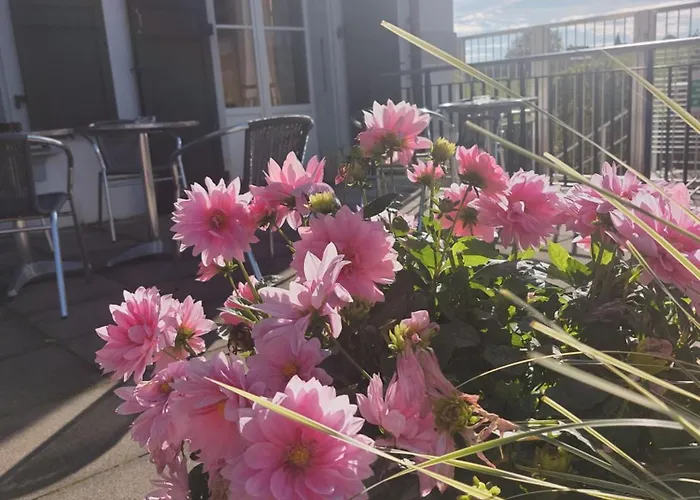 Le Funi De 3* Cossonay